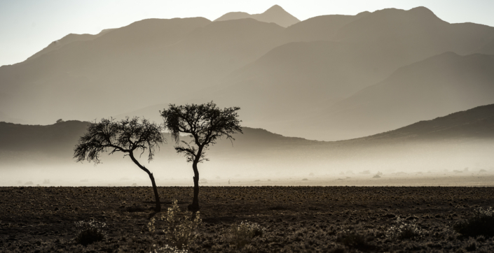 Namibia sigridspinnox  scaled